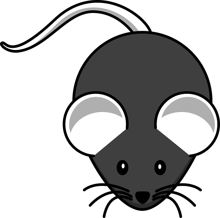 Red Mouse Clipart - Png Download (729x720), Png Download