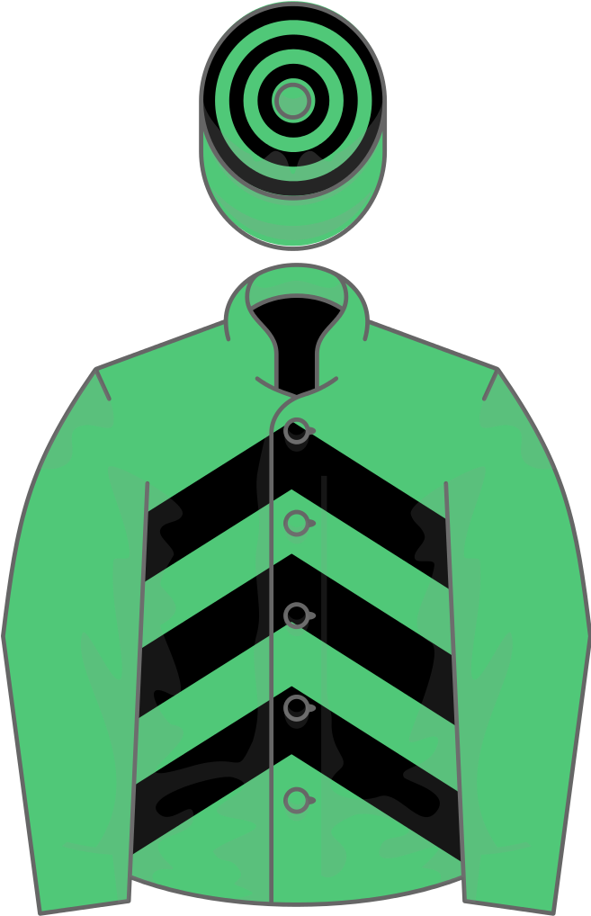 Owner Paul Rooney - Horse Clipart (656x1024), Png Download