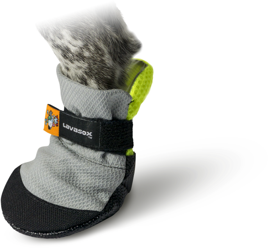 Saltsox Pet Boots Website Banner Clipart (1200x963), Png Download