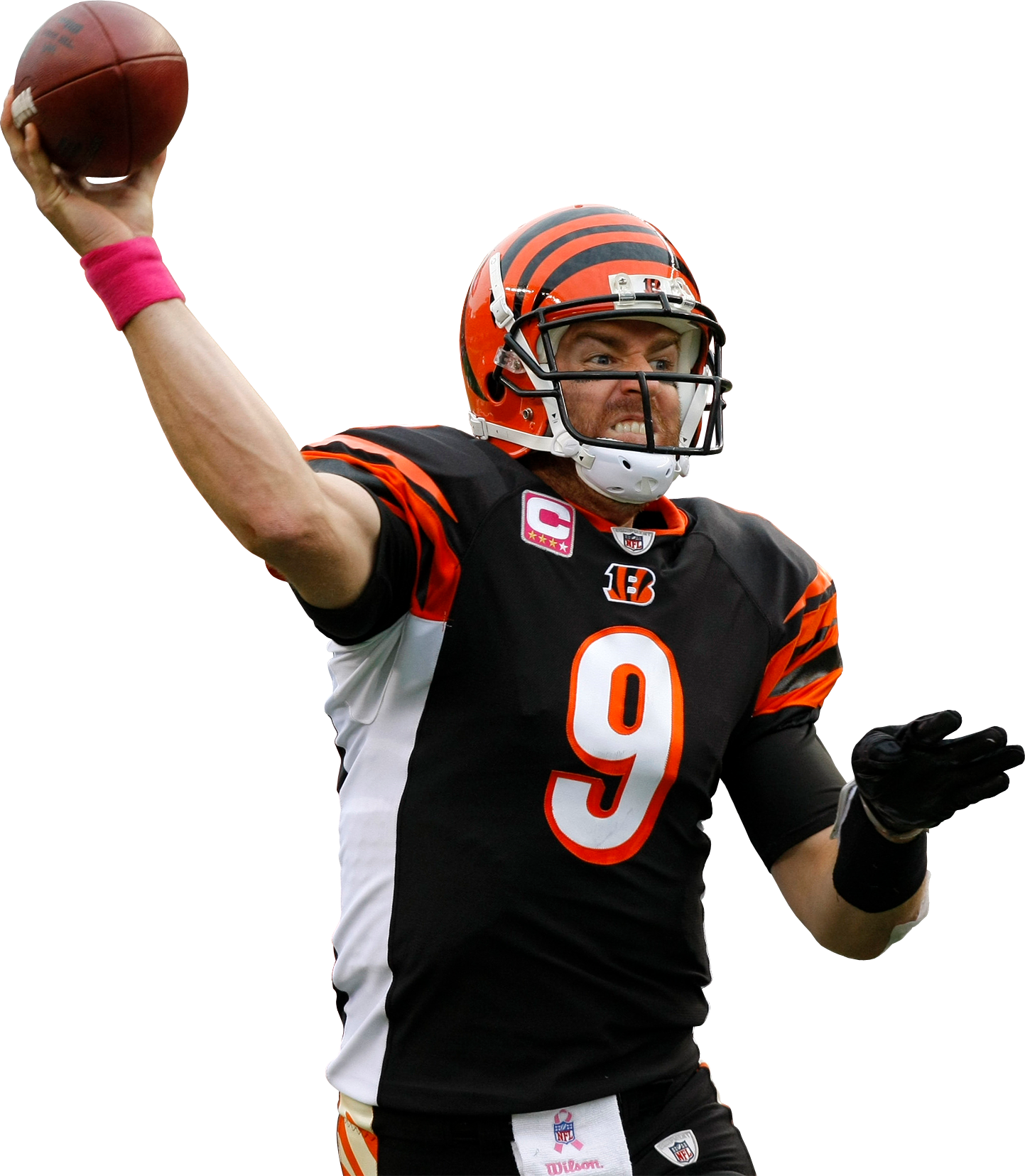 Carson Palmer Png - Carson Palmer Clipart (1443x1655), Png Download