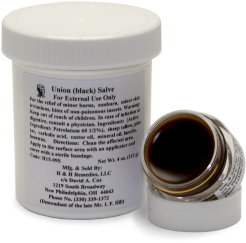 Drawing Sauve Amish - Bee Clipart (1000x580), Png Download