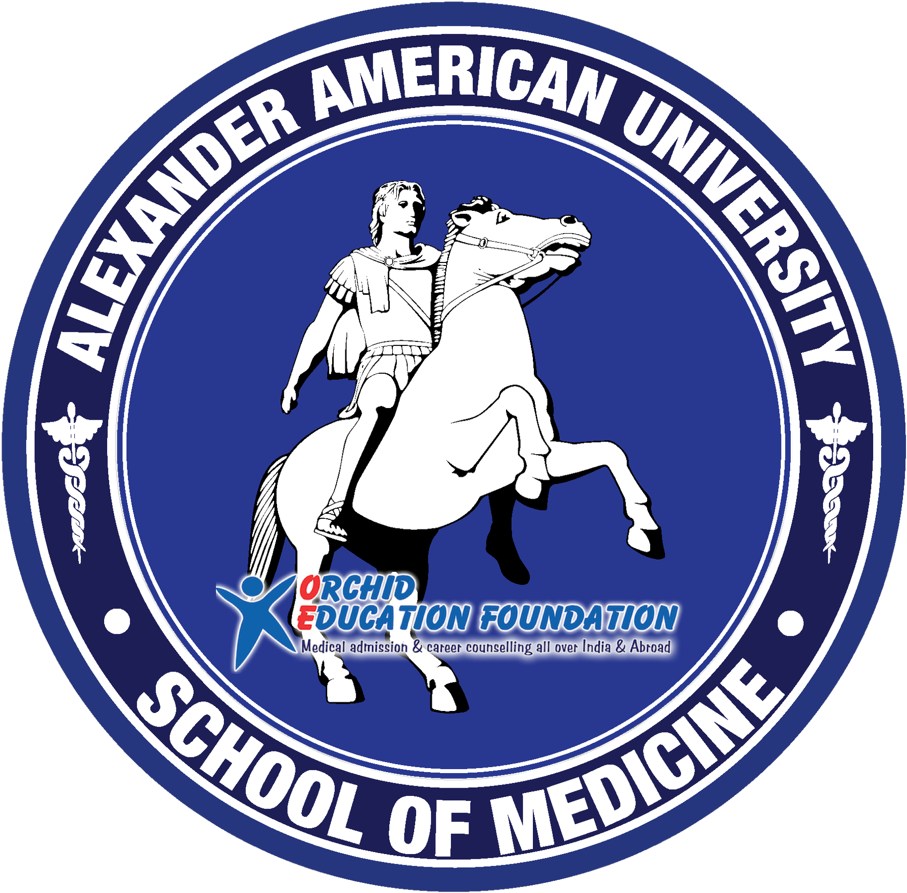 Alexander American University Fake Clipart (1920x1830), Png Download