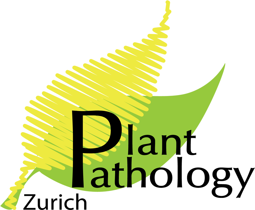 Logo - If You Have Been Tagged Clipart (844x719), Png Download