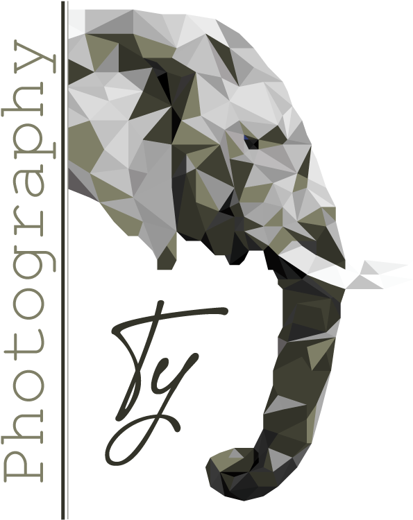 Ty-photography Right Color - Seahorse Clipart (626x768), Png Download