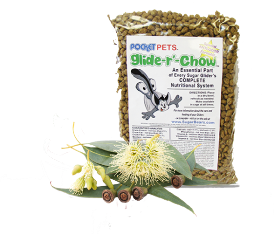 Euca-licious - Food Clipart (560x560), Png Download