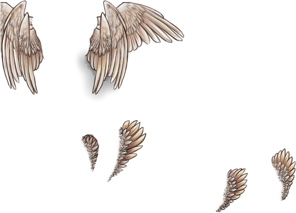 Fish Clipart (640x500), Png Download