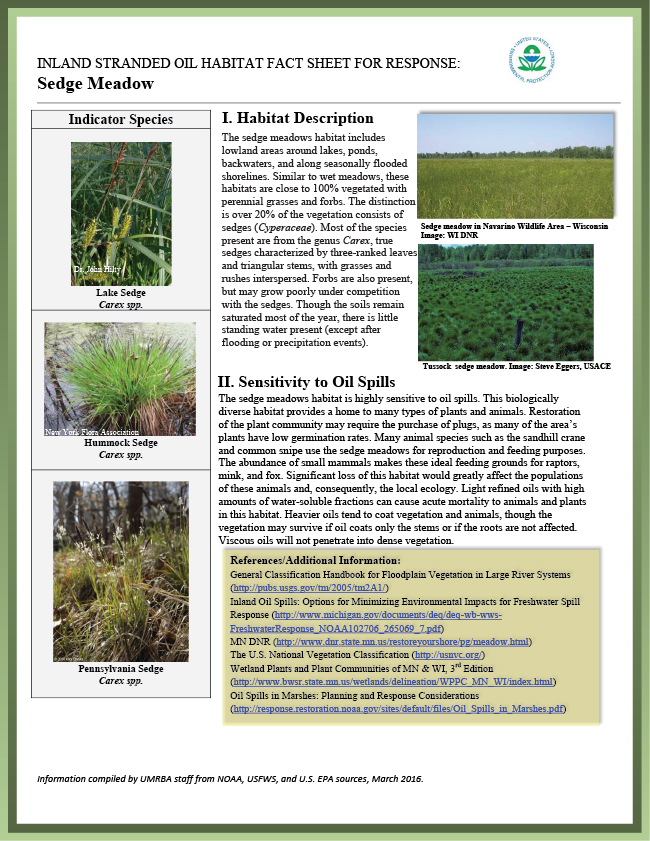 Download Pdf - Grass Clipart (650x841), Png Download