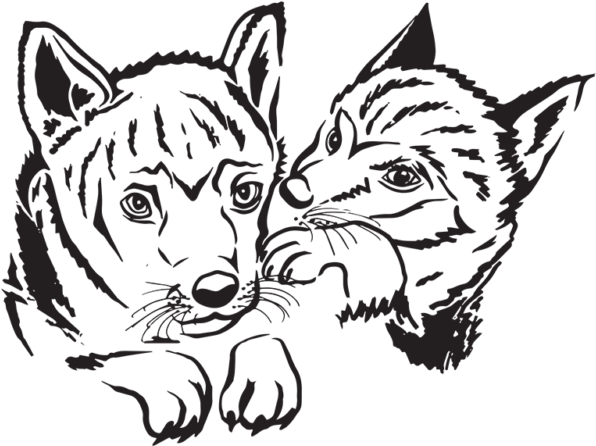 Illustration Clipart (800x600), Png Download