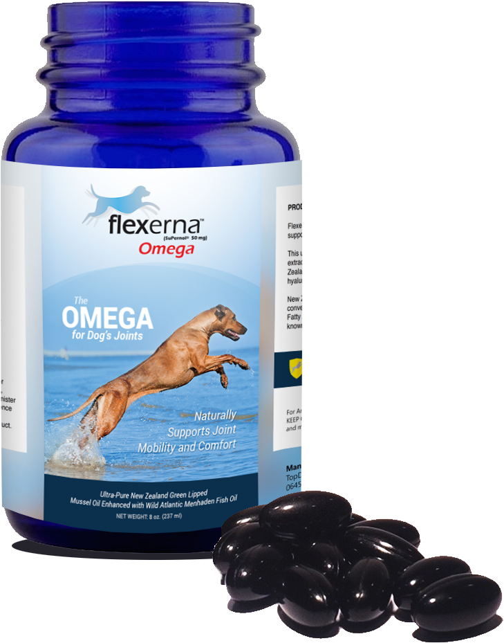 Flexerna Omega® - Companion Dog Clipart (788x1006), Png Download