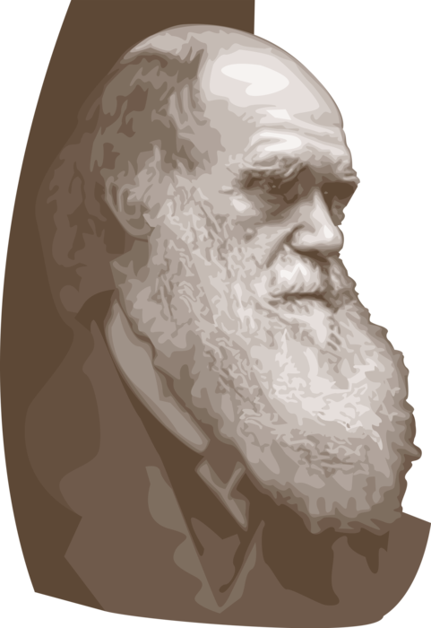 Vector Illustration Of Charles Darwin English Naturalist - Charles Robert Darwin Clipart (481x700), Png Download