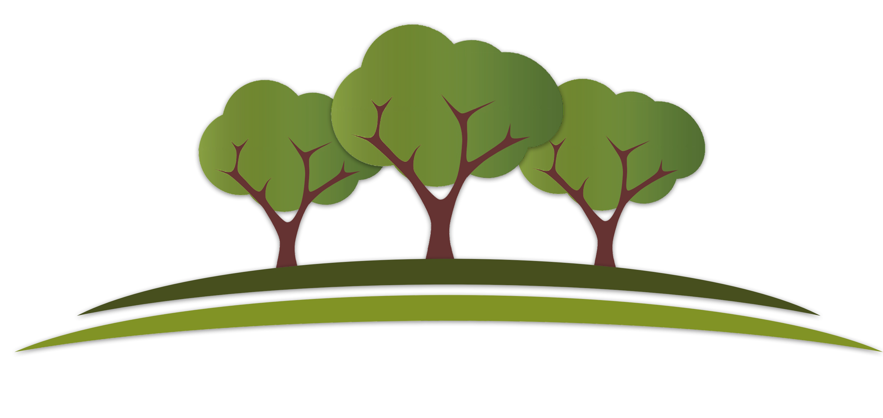 Diego's Lawn Care & Landscaping - 3 Tree Logo Clipart (3000x1565), Png Download