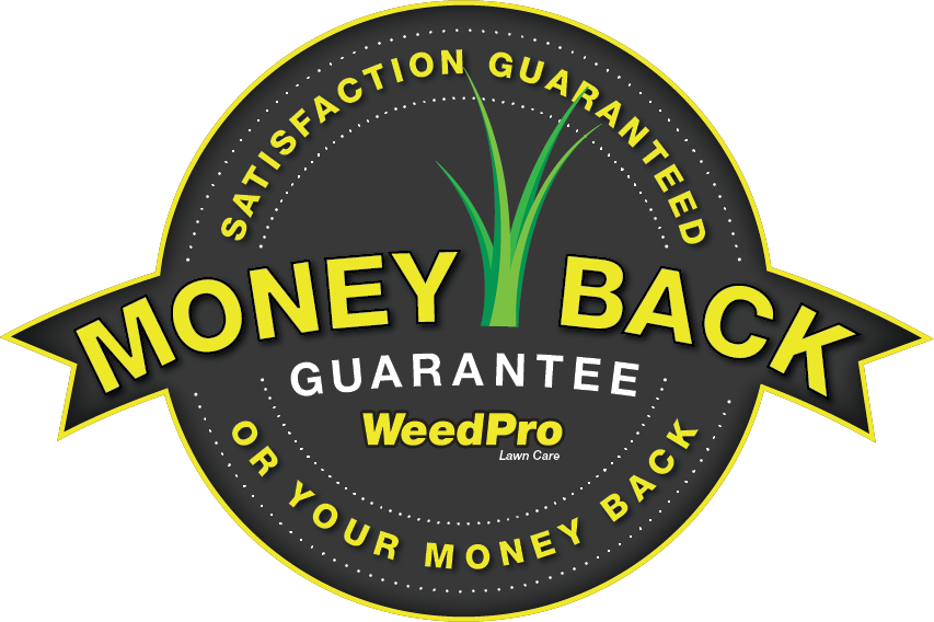 19 Years Of Excellence - Sundance Channel Clipart (853x568), Png Download