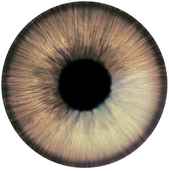 Olhos Png - Close-up Clipart (936x905), Png Download