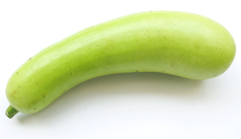 Bottle Gourd - Zucchini Clipart (800x800), Png Download