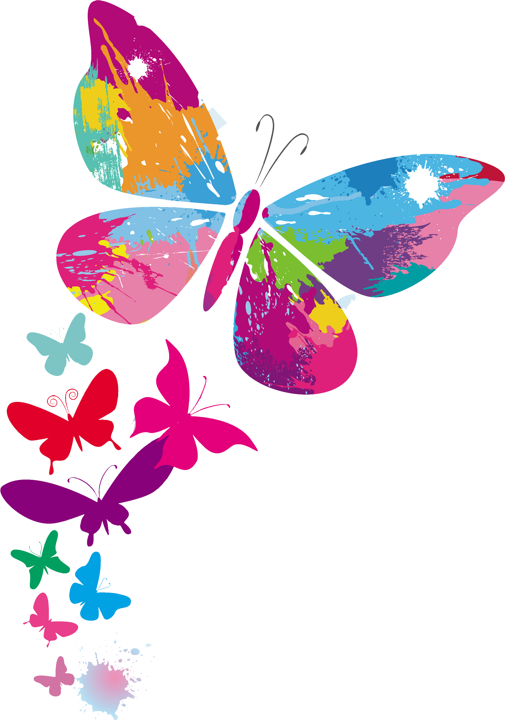 Picture Library - Multi Color Butterfly Backgrounds Design Clipart (2480x3508), Png Download