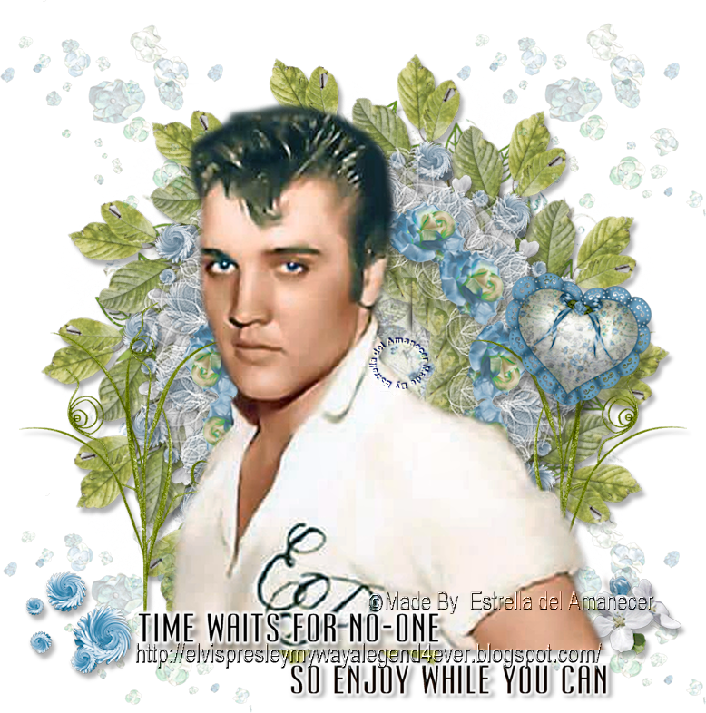 Elvis Presley Time Waits For No-one So Enjoy While - Poster Clipart (778x786), Png Download