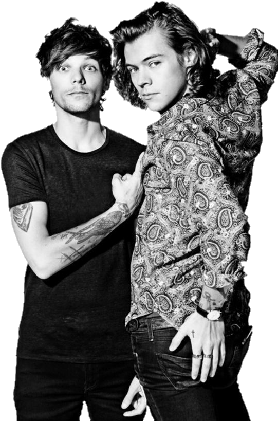 Larry Stylinson Clipart (564x820), Png Download