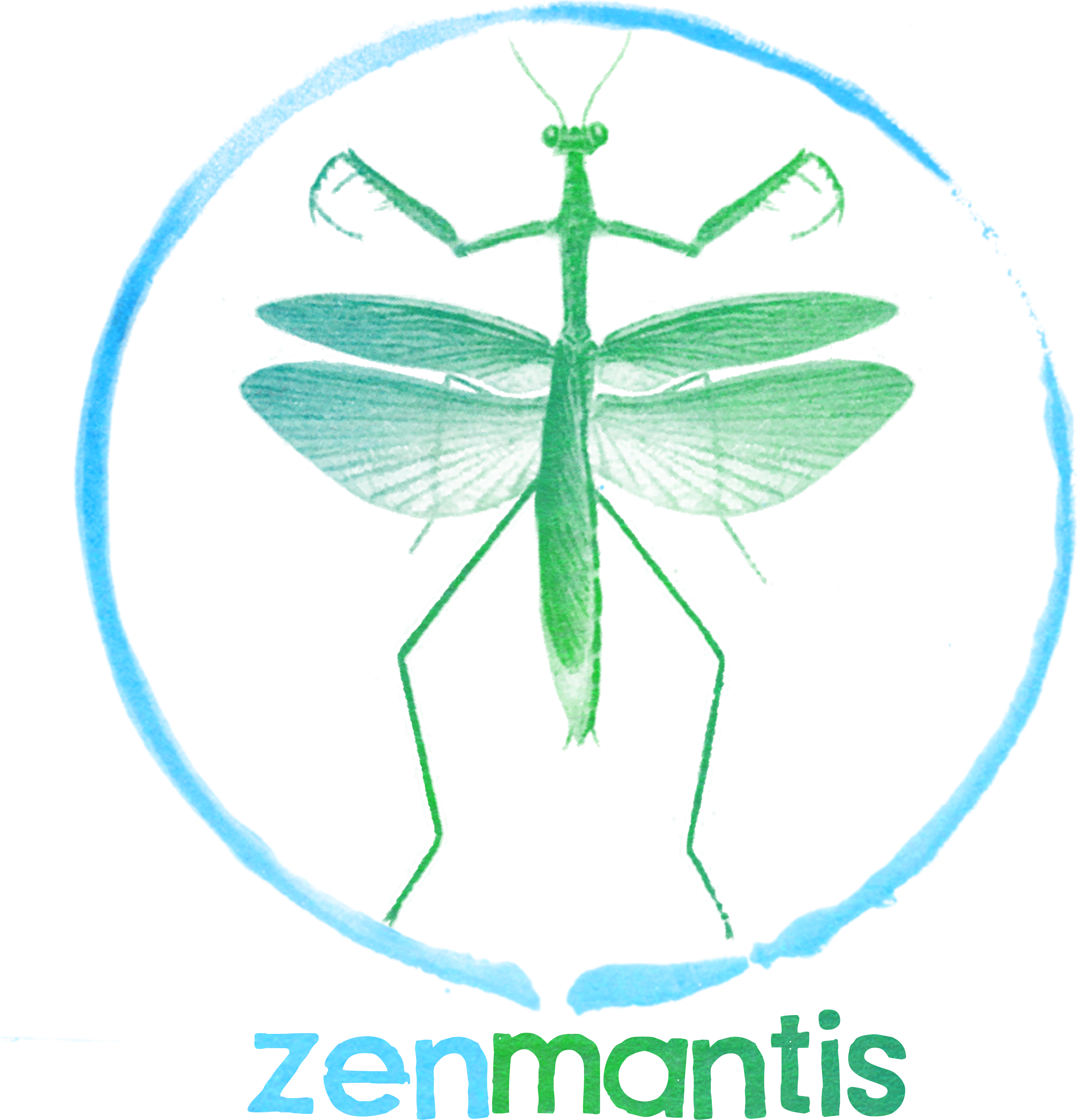 Zen Mantis Photography - Net-winged Insects Clipart (3000x3000), Png Download