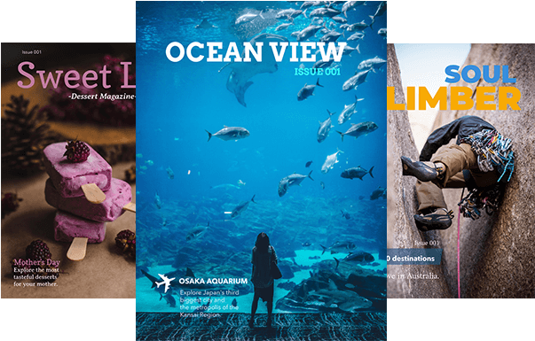 Online Magazine Cover Maker - Poster Clipart (646x484), Png Download