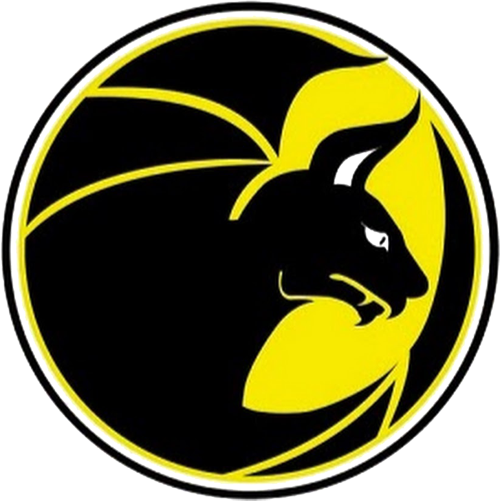 Valencia Firebats Clipart (800x800), Png Download