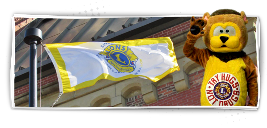 Nashwaaksis Lions Club - Teddy Bear Clipart (960x450), Png Download
