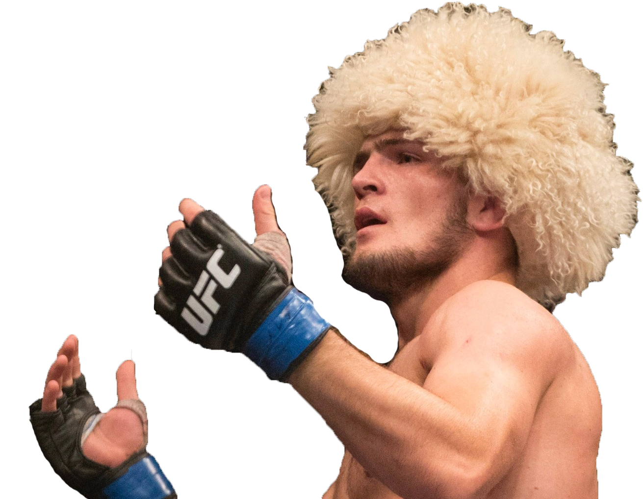 Topic Qui Aime Connor Mcgregor - Khabib Nurmagomedov Wallpaper Hd Clipart (1356x1017), Png Download