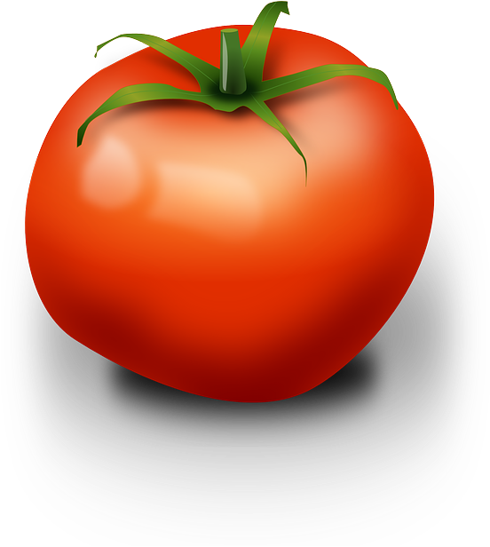 Tomato Clip Art - Png Download (565x640), Png Download