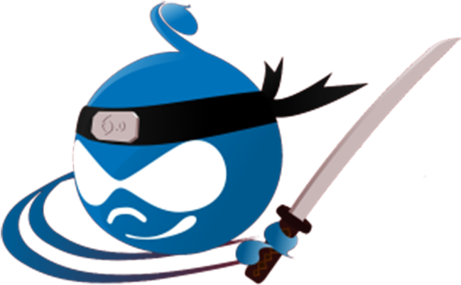 Best Drupal Modules To Make Your Site Secure - Drupal Ninja Clipart (769x495), Png Download