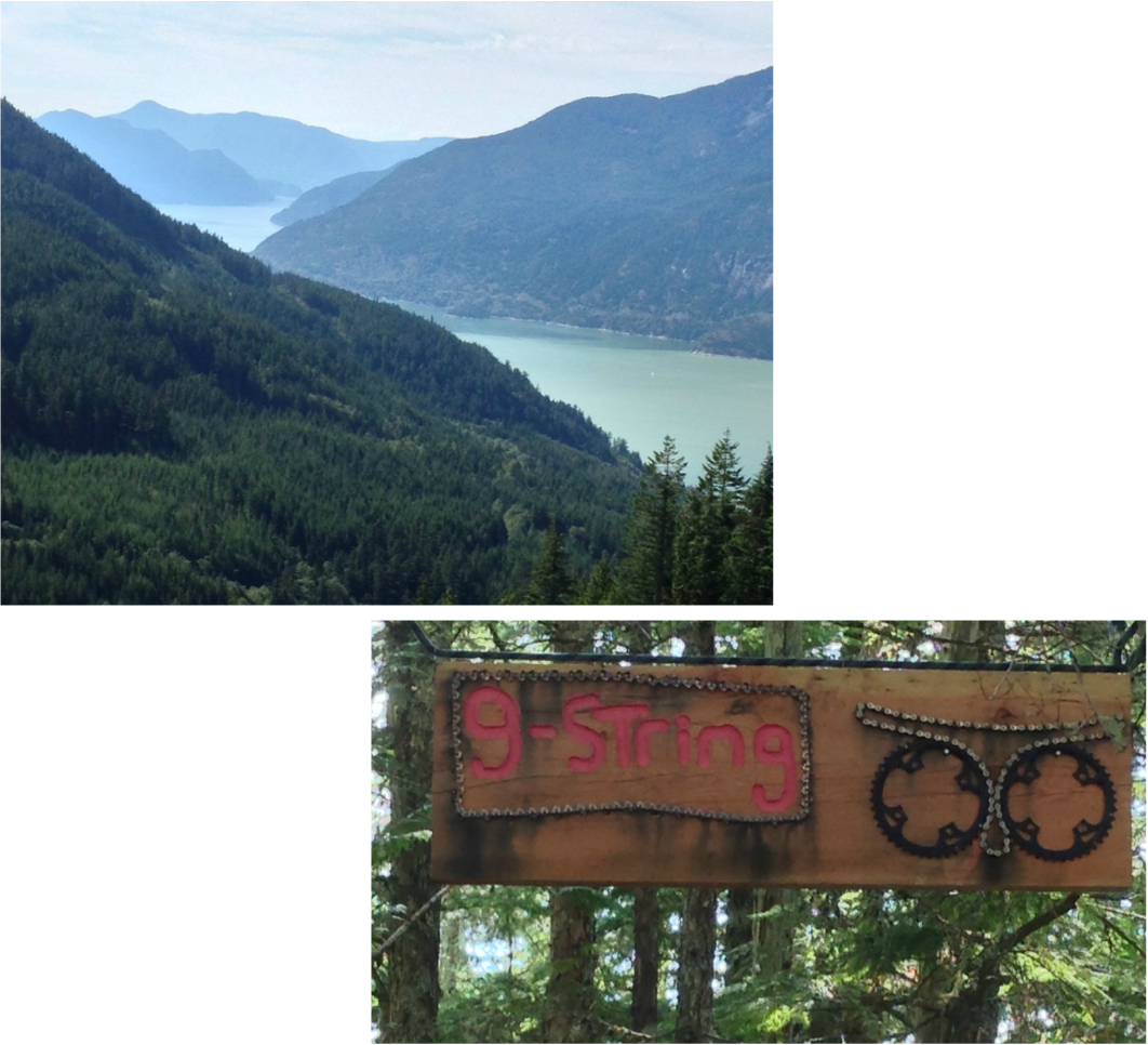 Start Climbing Up The Road - Mount Scenery Clipart (1062x966), Png Download