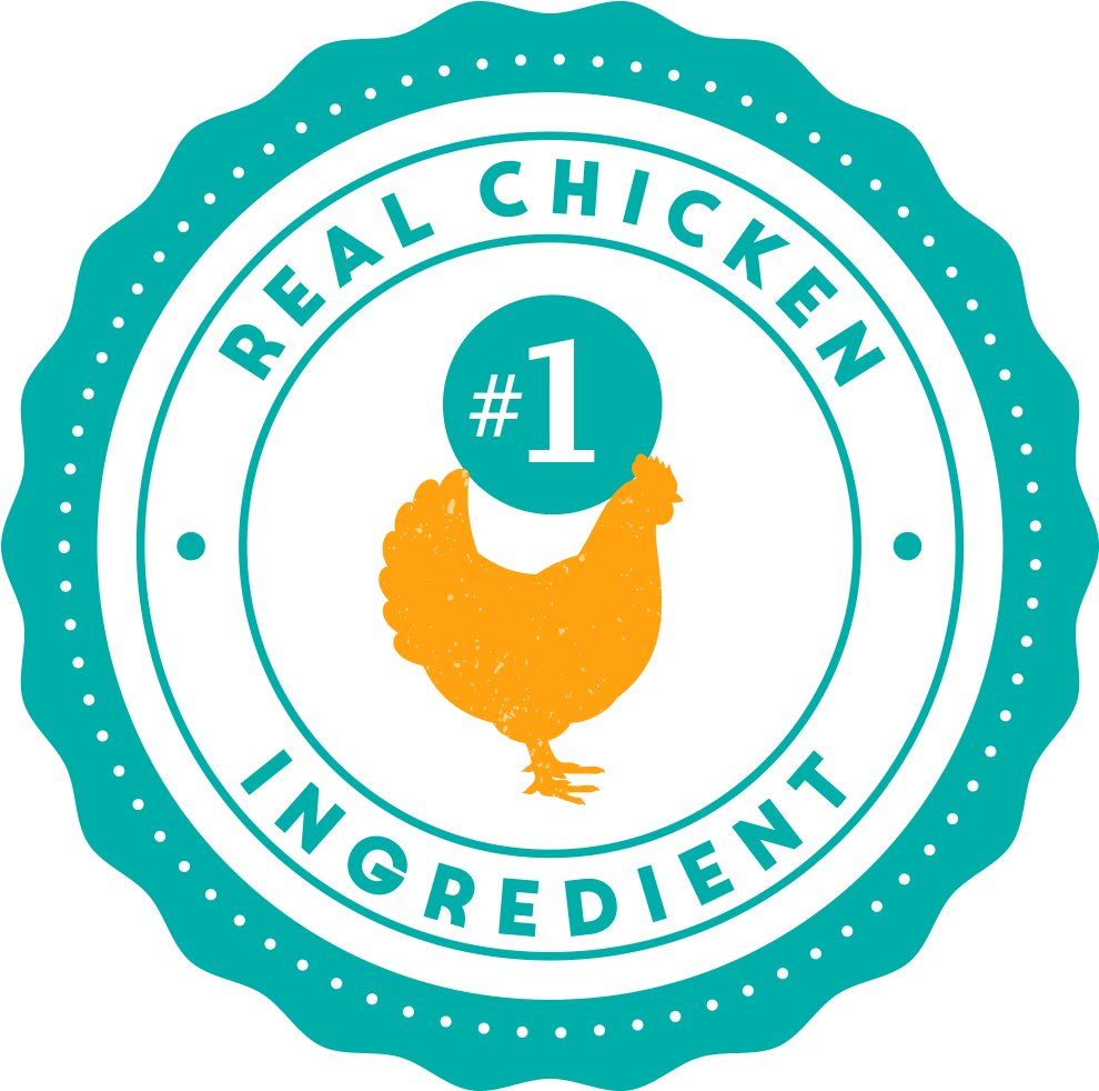 Pioneer Woman Real Chicken Clipart (1000x1000), Png Download