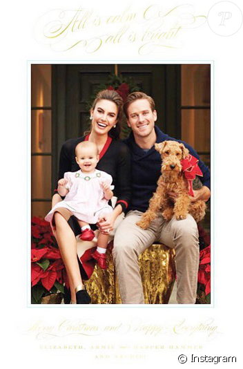 Armie Hammer Et Sa Femme Elizabeth Chambers Ainsi Que - Armie Hammer And Family Clipart (637x533), Png Download