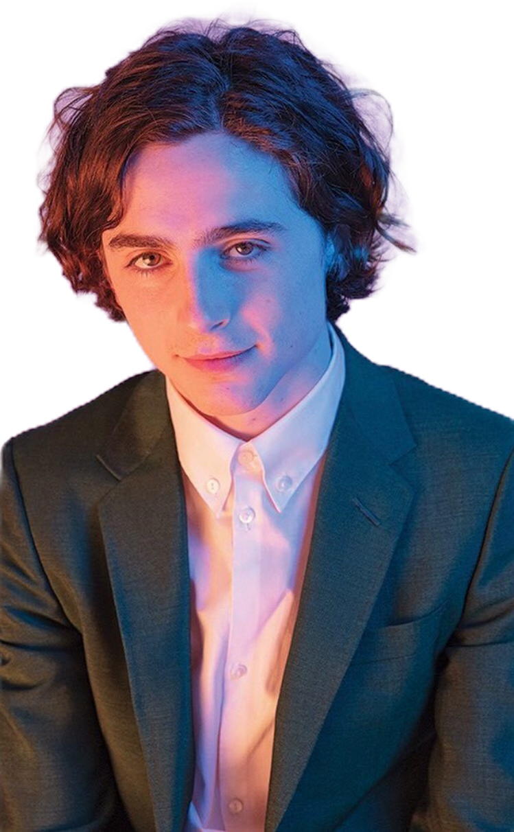 {tags To Ignore} - Timothee Chalamet Hair Oscar Clipart (749x1212), Png Download