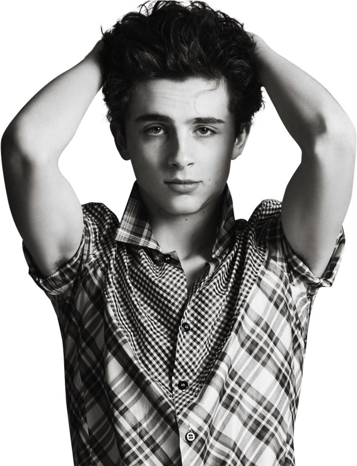 Timothée Chalamet - Rare Timothee Chalamet Clipart (1280x960), Png Download