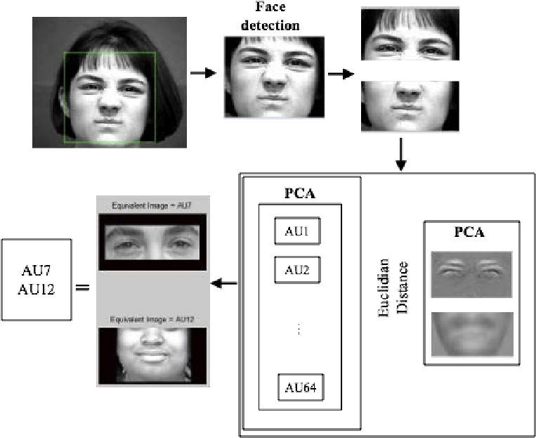 Detection Pair Of Action Units Per Human Face Image - Collage Clipart (776x639), Png Download