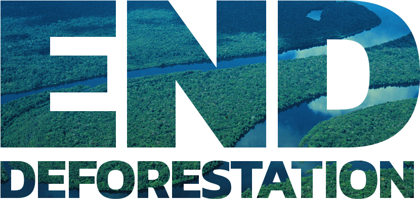 Use Forest Imagery And Patterns Within Text To Make - Artificial Turf Clipart (848x412), Png Download