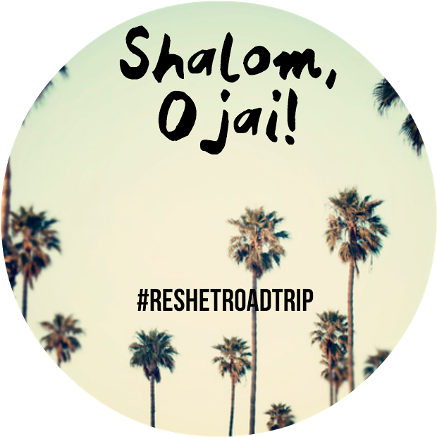 Reshet Road Trip - Photography Palm Trees Clipart (635x635), Png Download