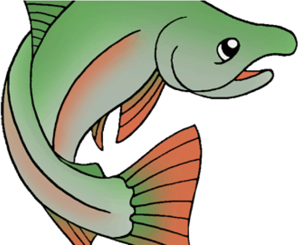 Salmon Clip Art - Png Download (640x480), Png Download