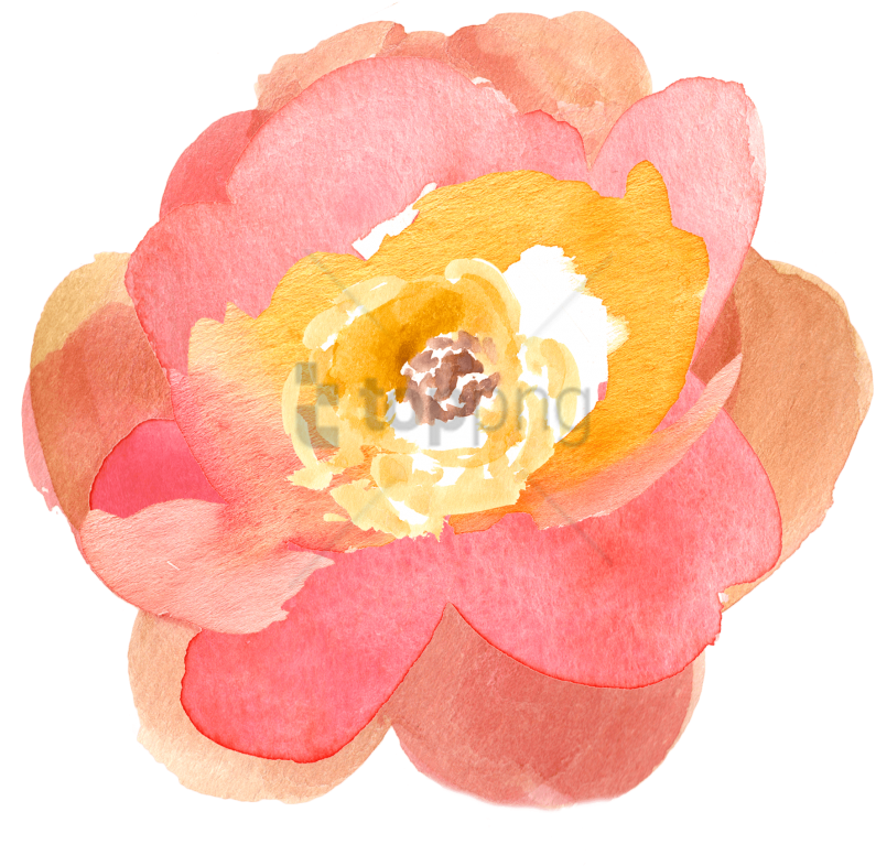 Free Png Transparent Watercolor Flowers Png Image With - Pink And Yellow Watercolor Flower Clipart (850x811), Png Download