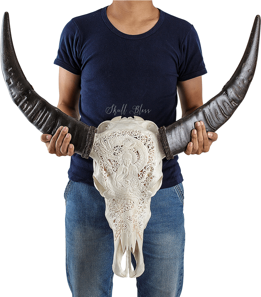 Horn Clipart (1000x1000), Png Download