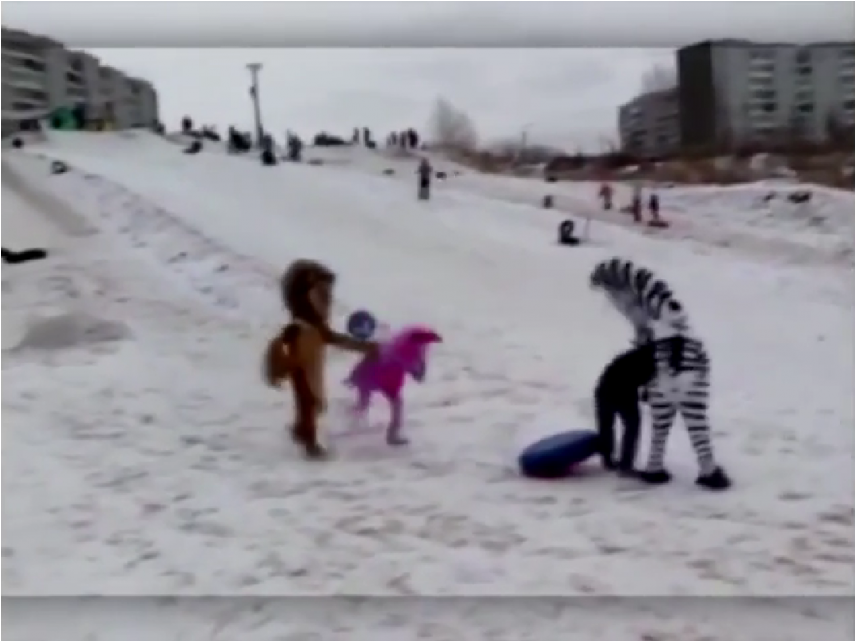 Hombres Disfrazados De Los Personajes De Madagascar - Алекс Марти Clipart (1140x640), Png Download