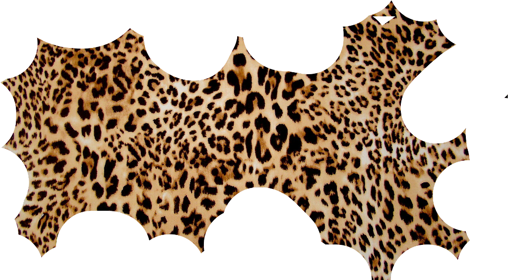 Torn Sticker - Felidae Clipart (1024x566), Png Download