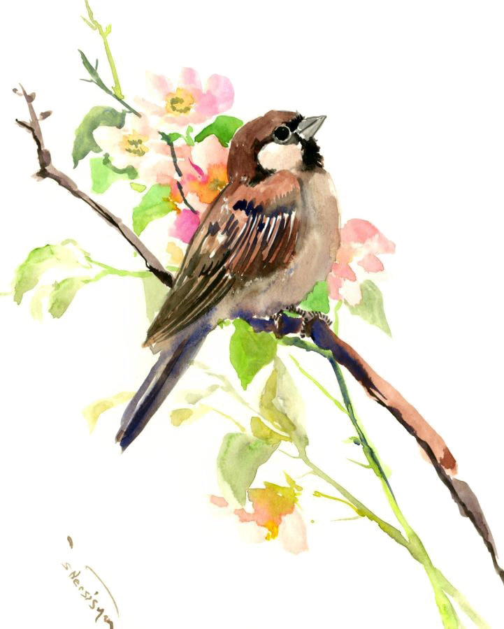 Transparent Image Png Arts Transparent Background - Sparrow Watercolor Painting Clipart (721x900), Png Download