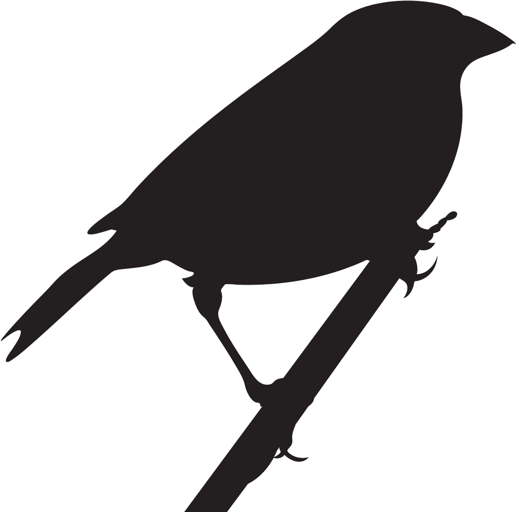 Nelson's Sparrow Overview, All About Birds, Cornell - Grasshopper Sparrow Silhouette Clipart (1024x1024), Png Download