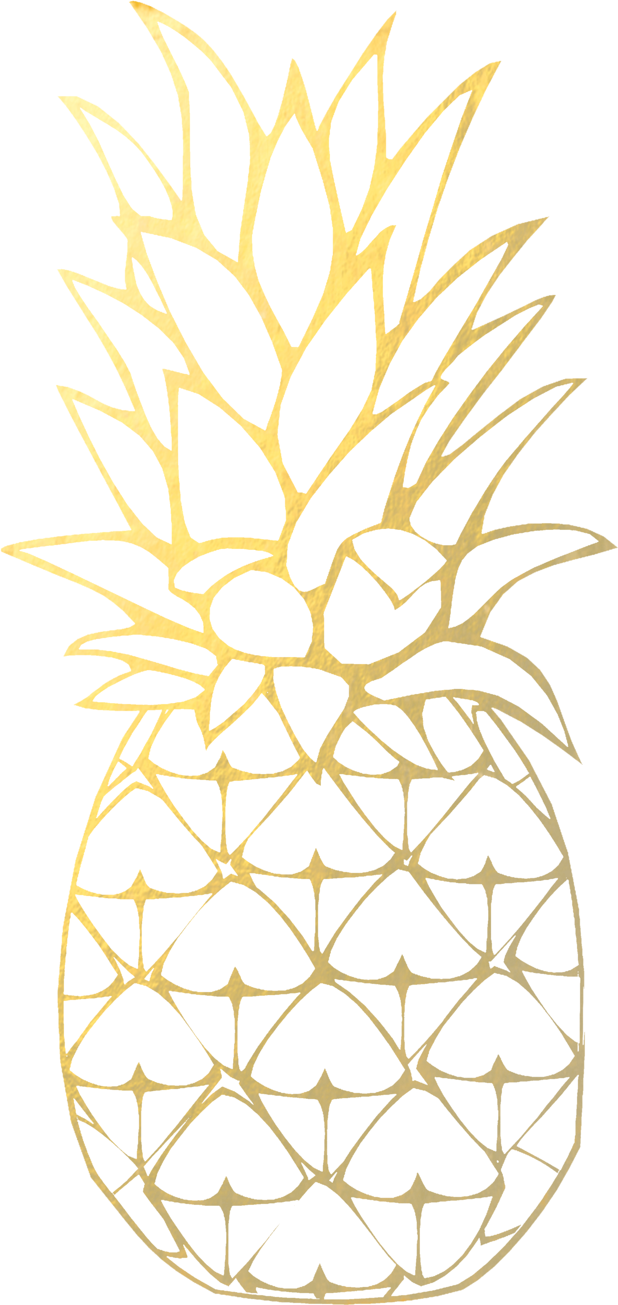 Gold Pineapple Download Free Clipart With A Transparent - Dibujos Para Colorear De Piña - Png Download (1500x2811), Png Download