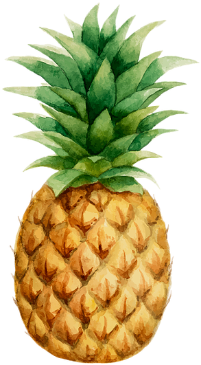 Prendadaeavo Pineapple Drawing, Pineapple Wallpaper, - Watercolor Pineapple Free Vector Clipart (560x560), Png Download