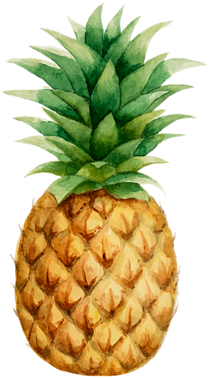 Prendadaeavo Pineapple Drawing Pineapple Wallpaper Watercolor Pineapple Free Vector Clipart Large Size Png Image Pikpng Prendadaeavo Pineapple Drawing Pineapple Wallpaper Watercolor Pineapple Free Vector Clipart Large Size Png Image Pikpng