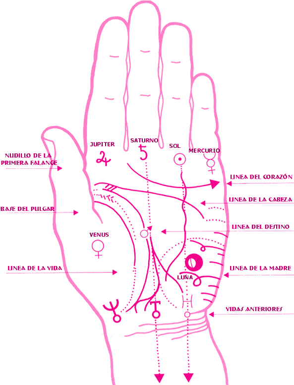 Significados De Las Manos Clipart (600x800), Png Download