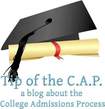Tip Of The C - Cap And Gown Transparent Clipart (800x450), Png Download