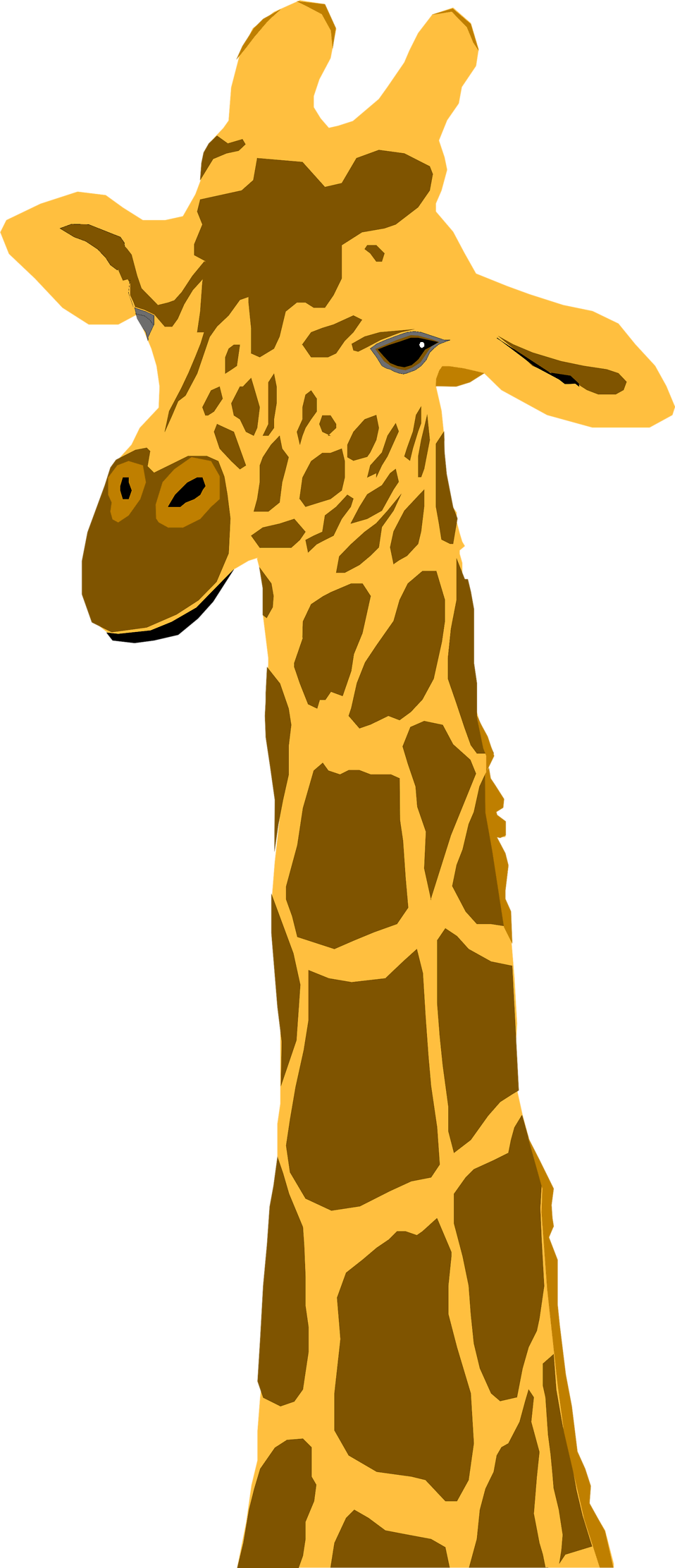 Giraffe Clipart Orange - Giraffe Illustration Transparent Background - Png Download (958x2223), Png Download
