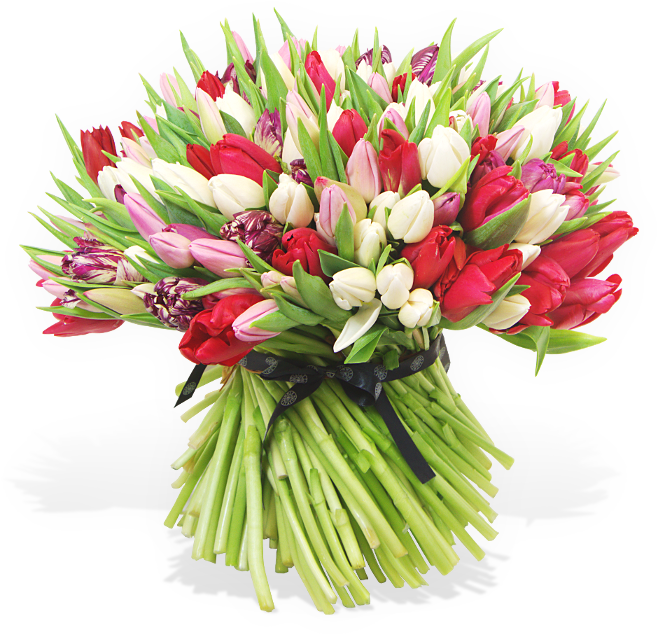200 British Tulips - Bouquet Clipart (700x700), Png Download